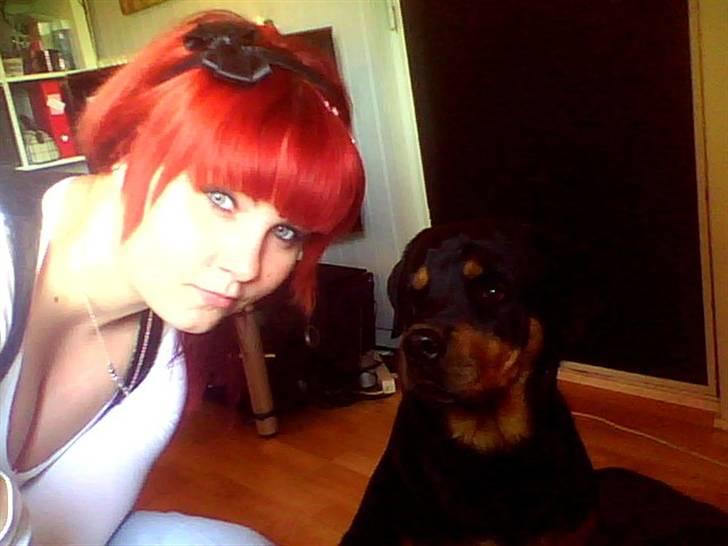 Rottweiler Tess <3 billede 8