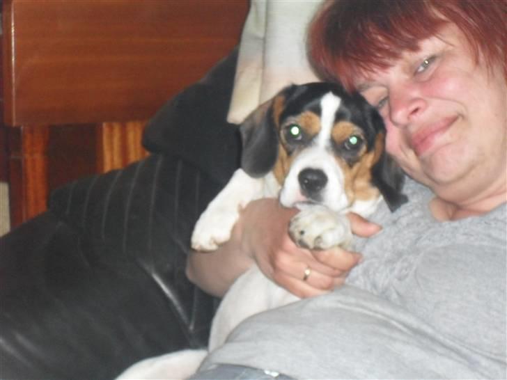 Blanding af racer Sally  billede 5