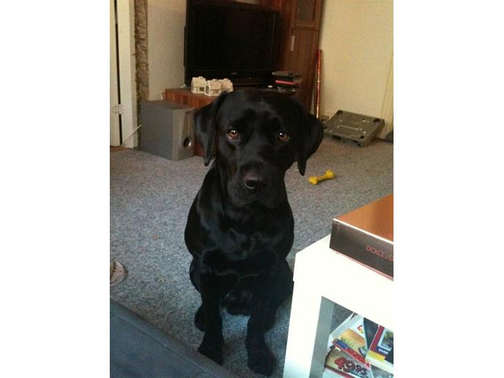 {{currentPhoto.altText}} billede {{currentPhoto.number}}