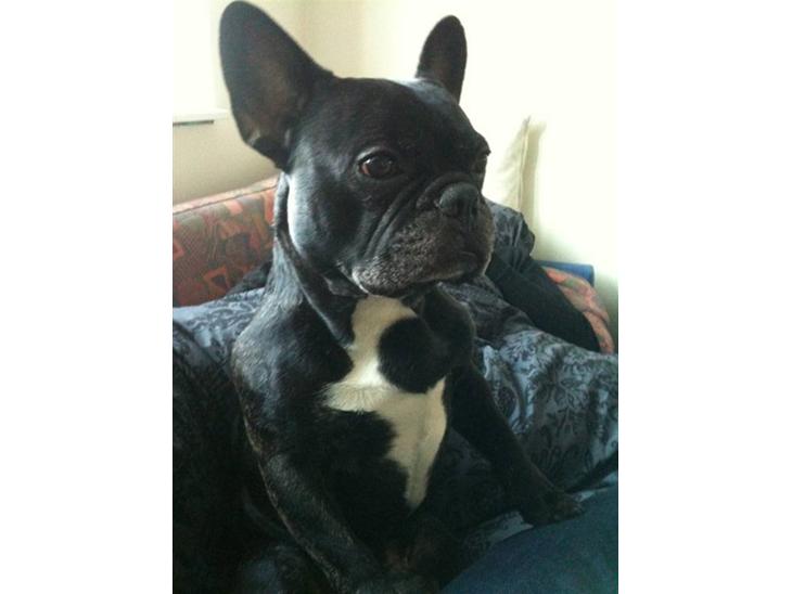 {{currentPhoto.altText}} billede {{currentPhoto.number}}