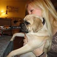 Blanding af racer Ziggi