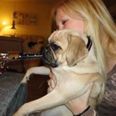 Blanding af racer Ziggi