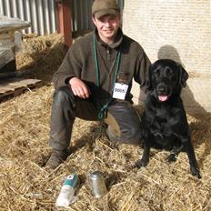 Labrador retriever Balder SOLGT