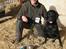 Labrador retriever Balder SOLGT - Dagens hund i åben 15 måneder