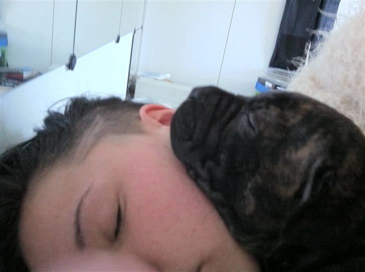 Blanding af racer Maggie billede 6