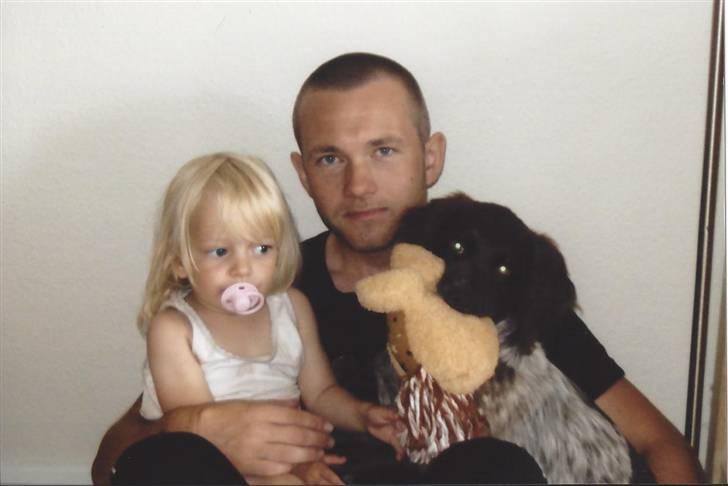 Kleiner münsterländer Løvmosen´s Tikka billede 9