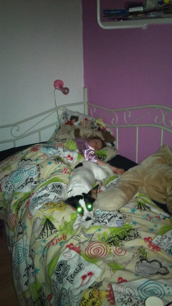 Blanding af racer Tøsen - Alien.... billede 10