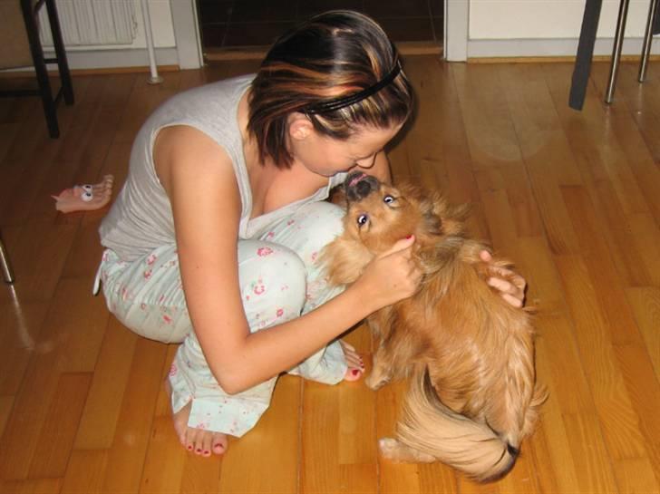 Blanding af racer Viggo billede 3