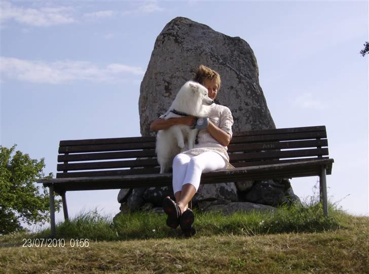 Japansk spids kato - tid til en slapper sammen med mor billede 13