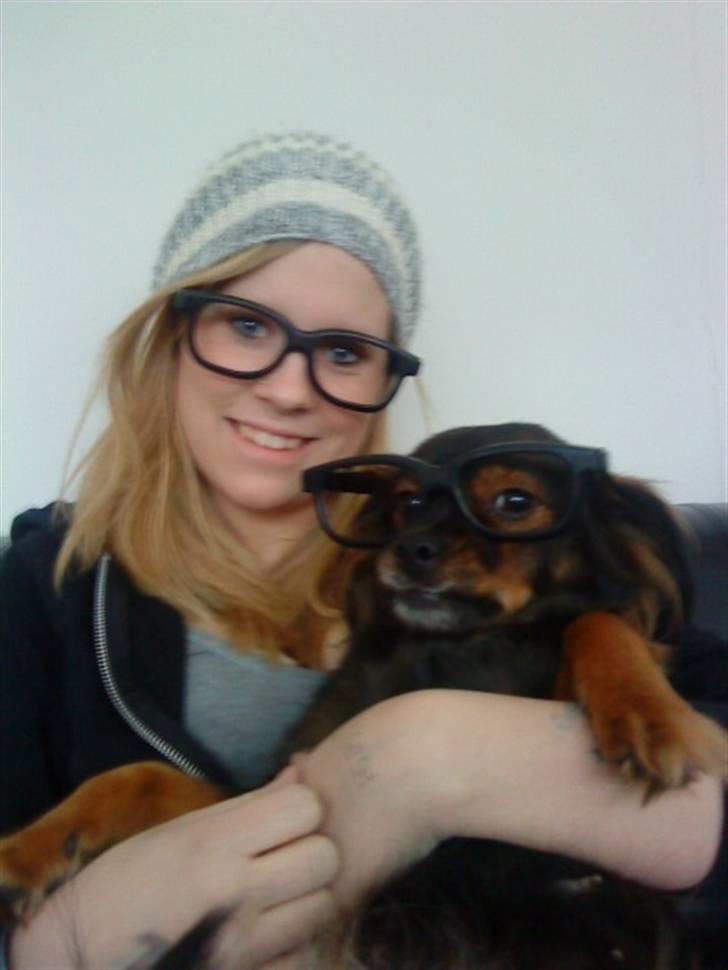 Blanding af racer Freya billede 5