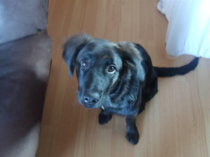 Blanding af racer Lady GaGa - - venter stadig på noget falder ned, men nej, hun var ik´ heldig den her gang :)  billede 6