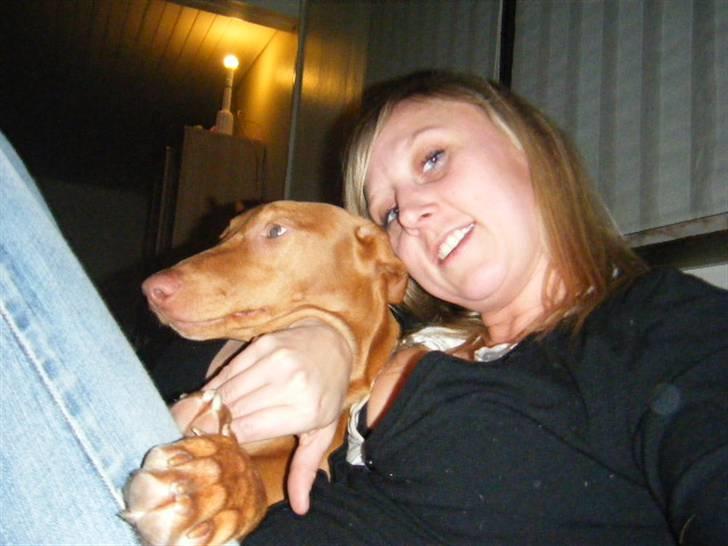 Pharaohound Vaskurs Kixia Qiwidotter billede 6