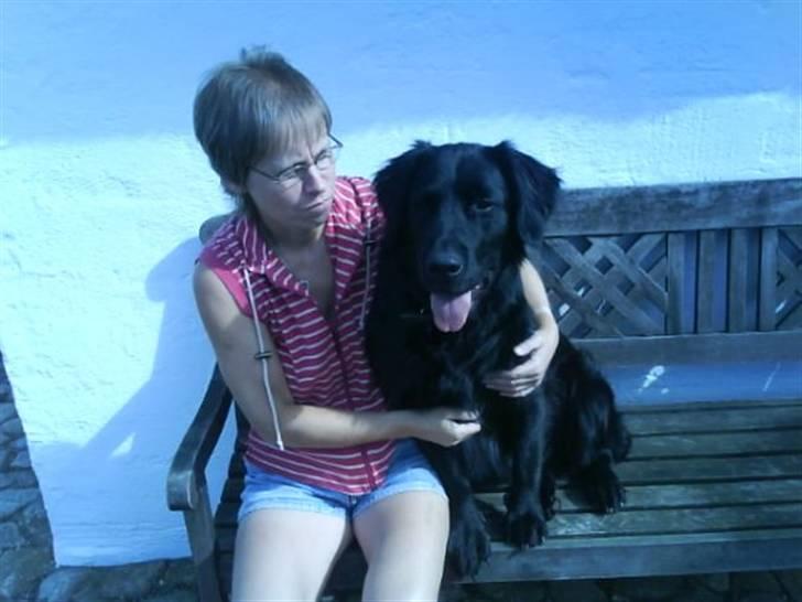 Blanding af racer Bobby billede 3