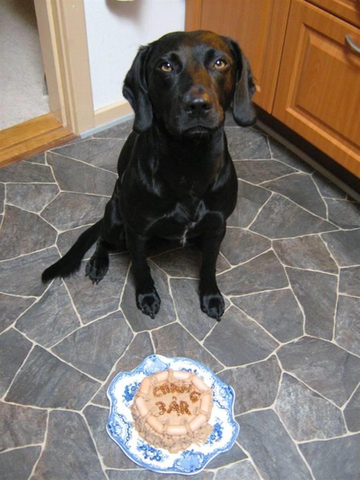 Blanding af racer Chang billede 10