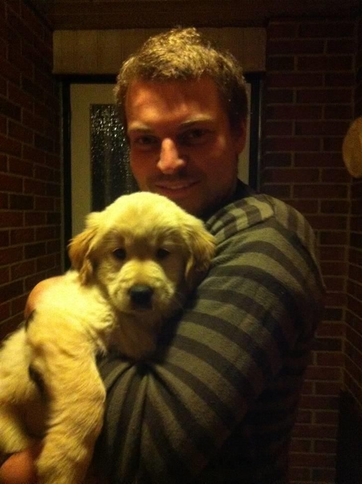 Blanding af racer Messy billede 3