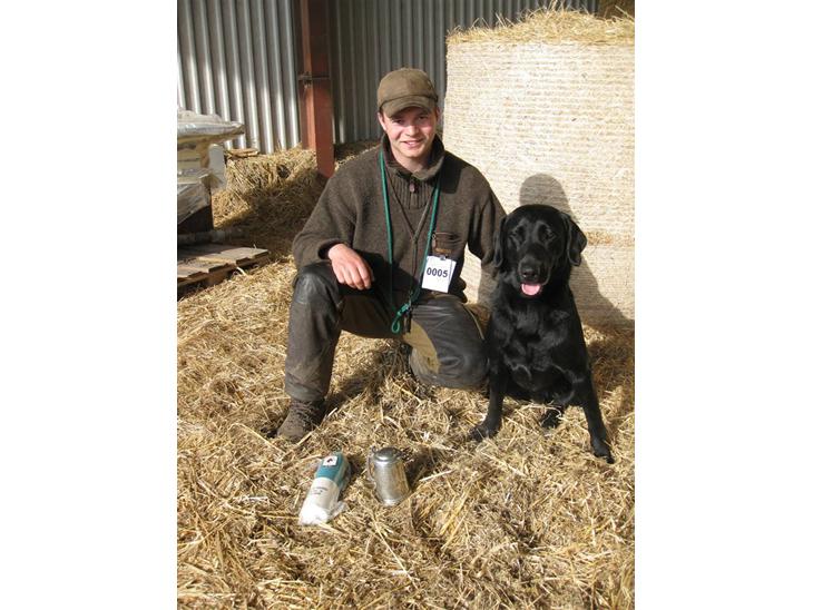 Labrador retriever Balder SOLGT - Dagens hund i åben 15 måneder billede 1