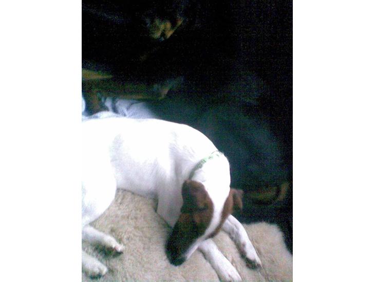 {{currentPhoto.altText}} billede {{currentPhoto.number}}