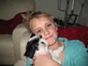 Shih tzu Bella