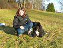 Newfoundlænder Balder *Solgt<3*
