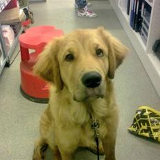 Blanding af racer Fighter