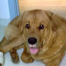 Blanding af racer Fighter