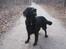 Blanding af racer Tess - Tess 21/3-11