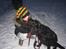 Blanding af racer Tess - Mig og Tess i december 2010