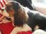 Cavalier king charles spaniel Tilde