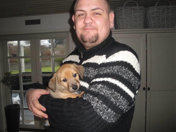 Blanding af racer Kato billede 2