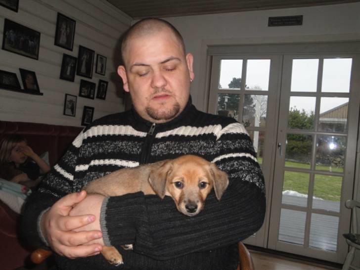 Blanding af racer Kato billede 3