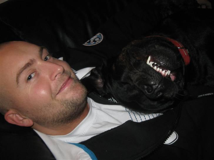 Blanding af racer Chili cheese dog - Min skønne hundepige ligger sammen med min skønne mand :D billede 6