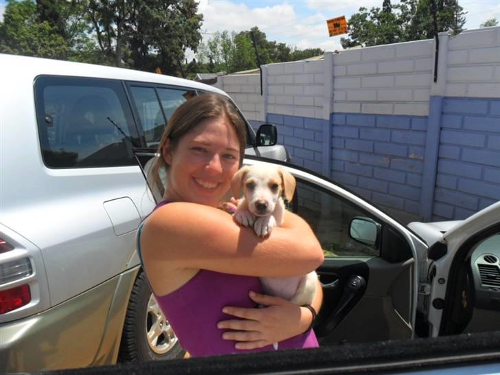 Blanding af racer Elvis billede 4