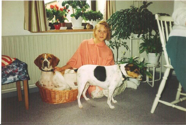 Pointer Nick *Himmelhund* Filert - Stjålen kurv, forurettet ejermand og mig. billede 14