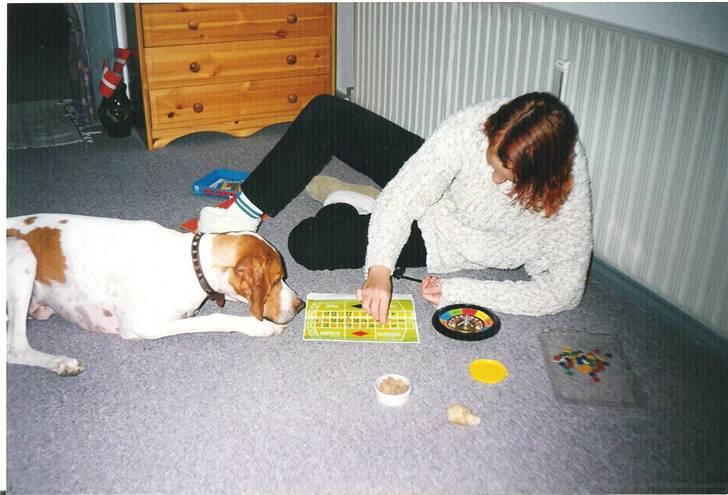 Pointer Nick *Himmelhund* Filert - Filert og jeg spiller roulette, han satsede godt :D billede 15