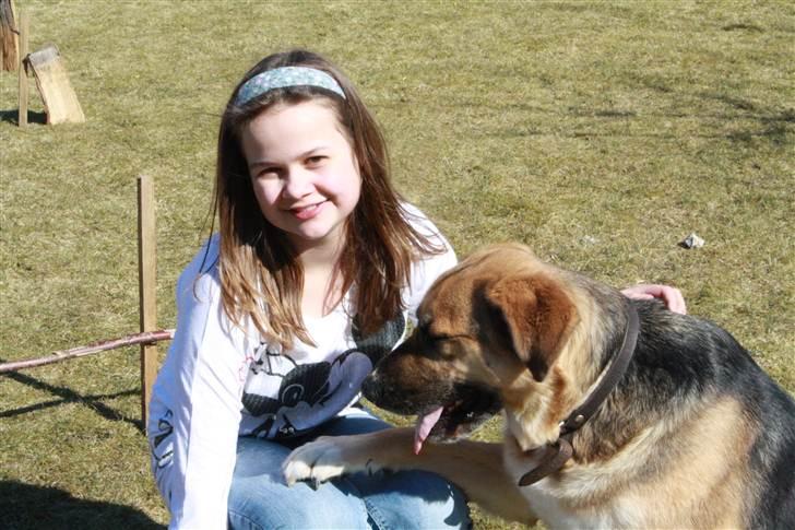 Blanding af racer <3Bamse hunden Odin <3  - Foto Celina Lindblad Andersen (min bedste veninde) billede 5