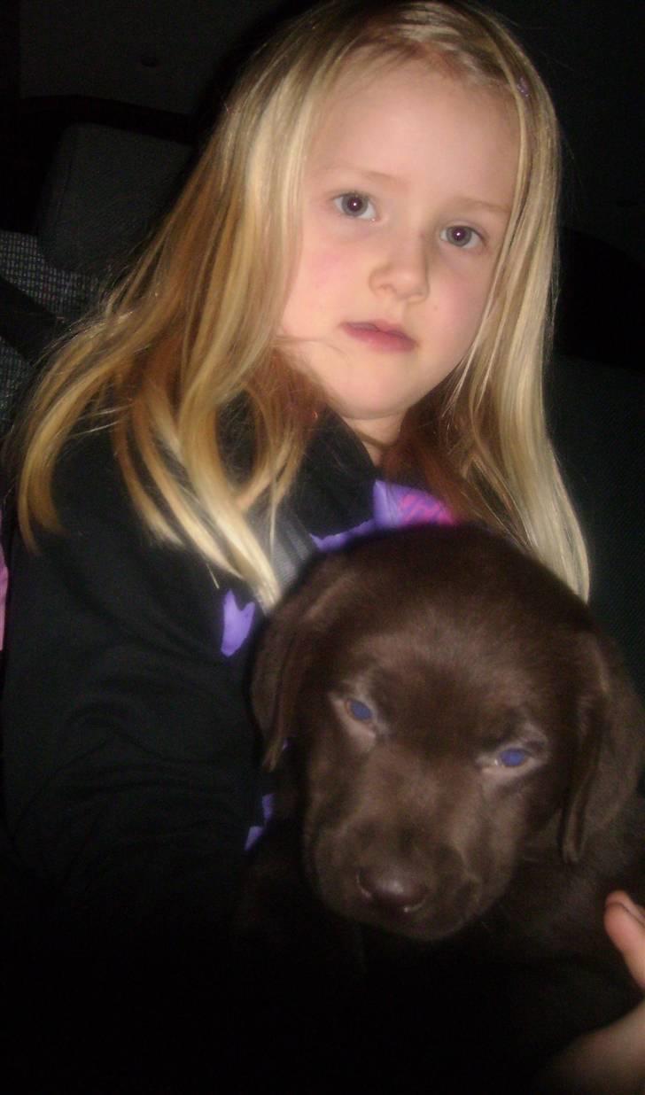 Labrador retriever Nellie<3. - nellie og min lillesøster<3. billede 6