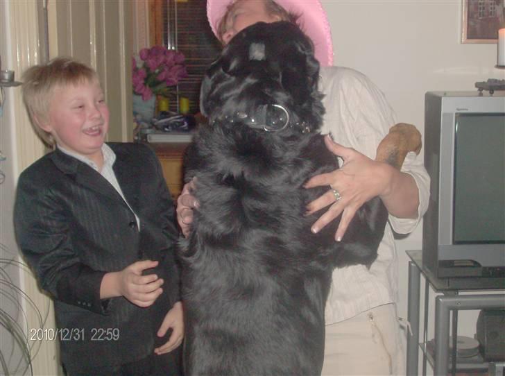 Rottweiler Heitah`s Rolex billede 8