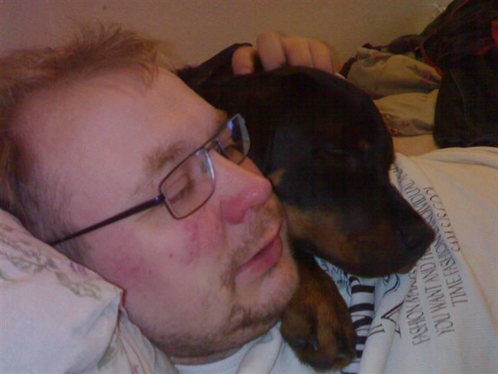 Rottweiler Zeus R.I.P. - Vi ser tv billede 4