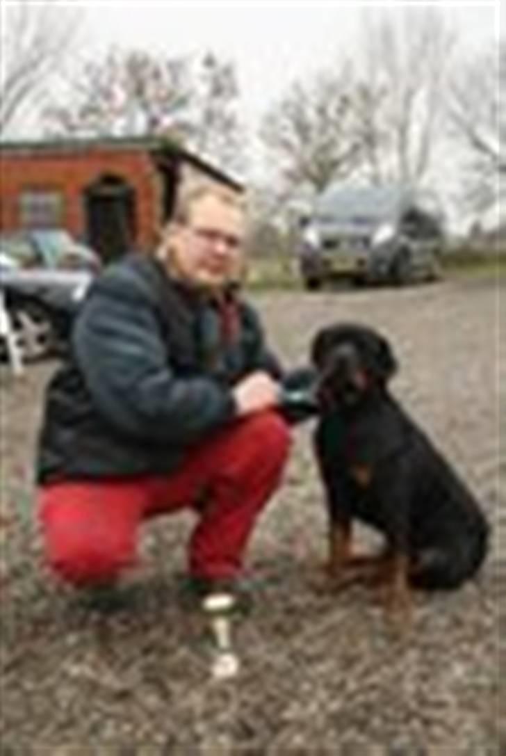 Rottweiler Zeus R.I.P. - Nr 3 til kredsmesterskabet billede 8