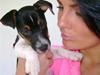 Jack russell terrier Charlie