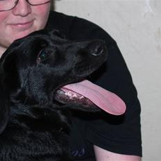 Blanding af racer Dobby <3
