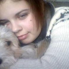 Bichon havanais Bastian<3