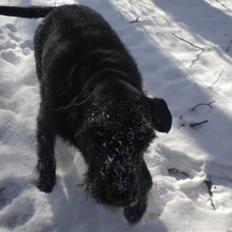 Blanding af racer case 