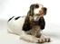 Cocker spaniel Vanilla Joy Dream Design - Ditte