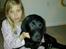 Labrador retriever Laban R.I.B