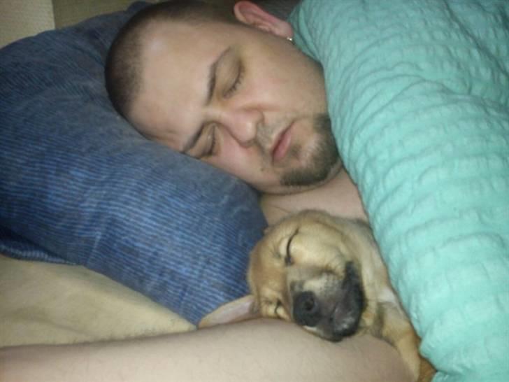 Blanding af racer Kato billede 14