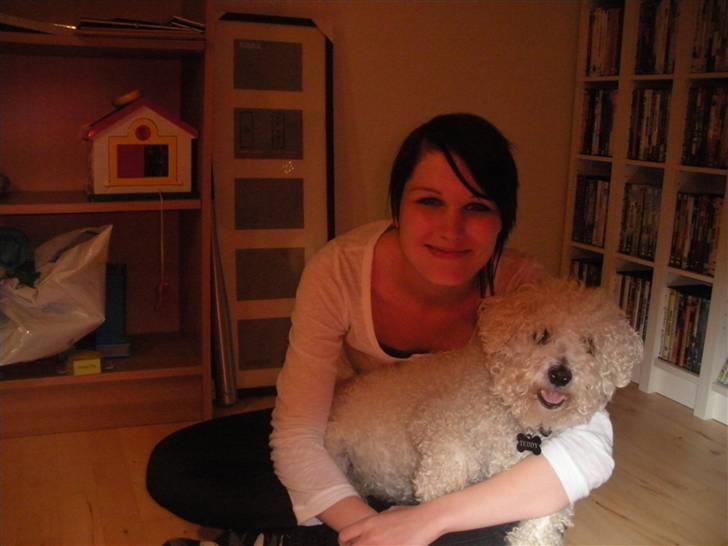 Bichon à poil frisé Teddy - 03.10.10 billede 11