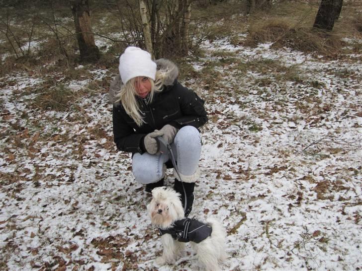 Malteser Felix - Mig og min mor billede 11