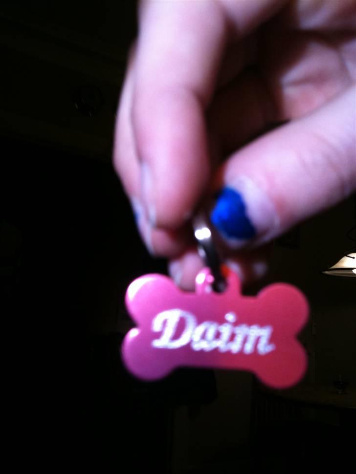 Blanding af racer daim billede 9