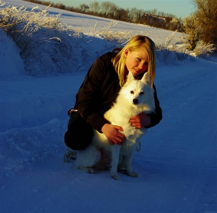 Japansk spids Grazy Daisy - R.I.P. :'( <3 - december 2010 Daisy og Iben billede 18